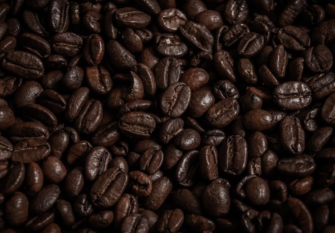 Koffiebessen aan een plant op een koffieplantage