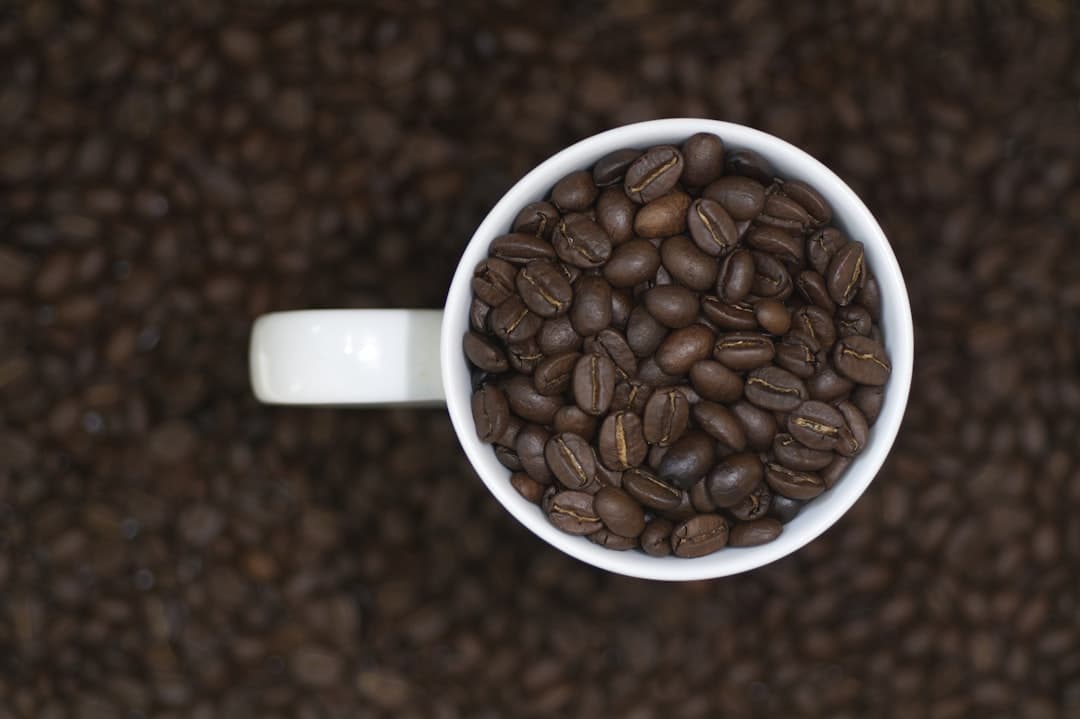 Verschillende koffiebonen proefpakketten op een tafel