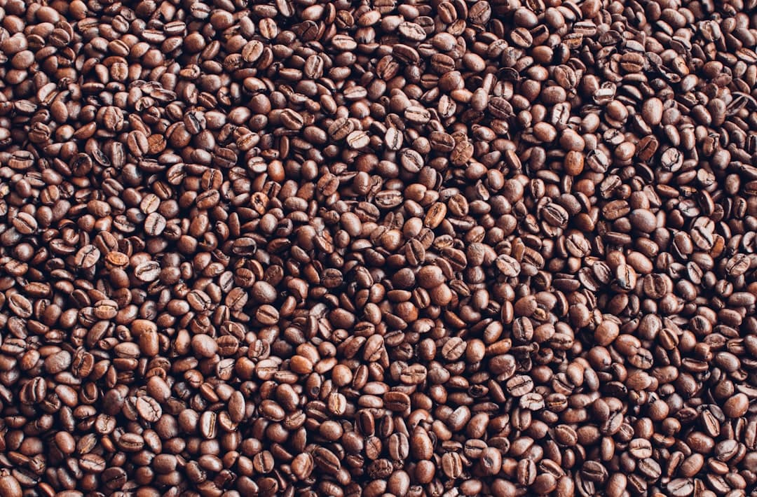 Koffiedik in een houten schaaltje naast planten als meststof