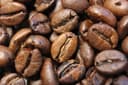 Drago Mocambo Brasilia koffiebonen