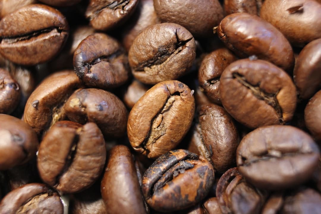 Drago Mocambo Brasilia koffiebonen