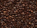 Elbgold Mischgold specialty koffiebonen