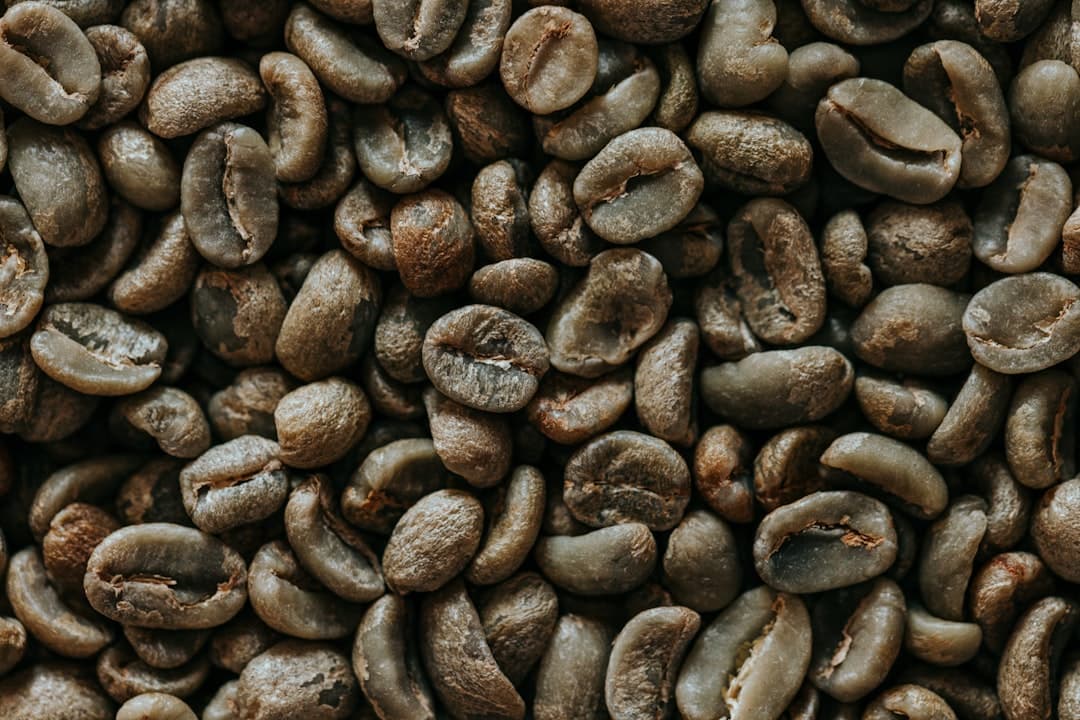 Lebensbaum Espresso Bio koffiebonen
