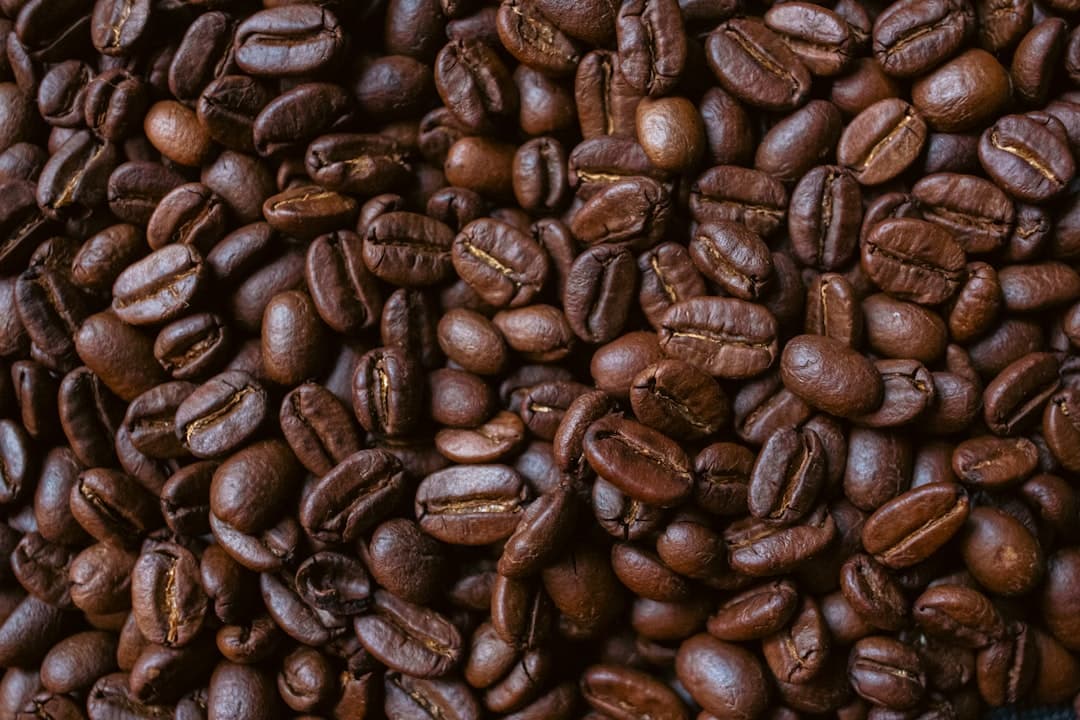L'OR Espresso Forza koffiebonen