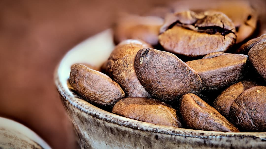 Starbucks House Blend Medium Roast koffiebonen